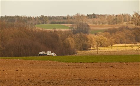 Early April in nature - Site of nature