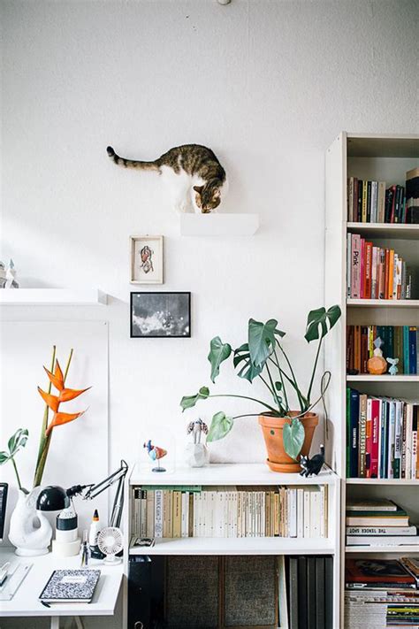 30+ Easy DIY Cat Shelves Ideas That Will Wow Them | HomeMydesign