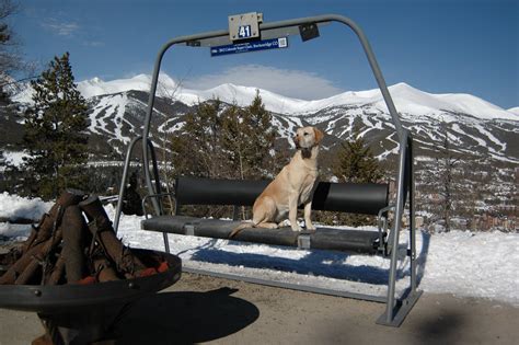 Ski lift chair transformed into a swing. | Ski lift chair, Lift chairs, Ski lift