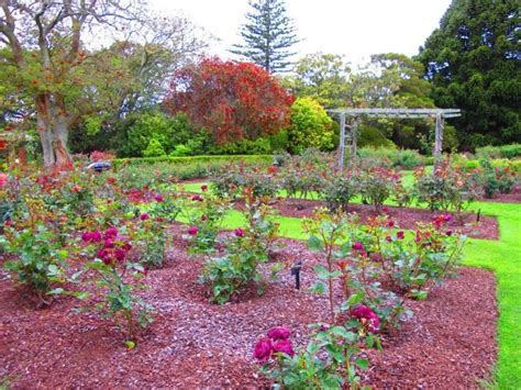 Parnell Rose Gardens in Auckland | My Guide Auckland