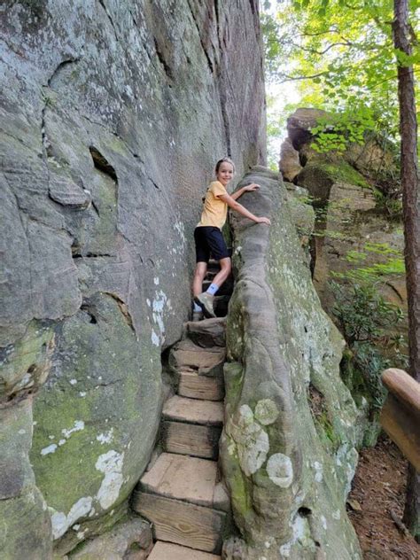 Hiking to Natural Bridge in Red River Gorge: Everything You Need to ...