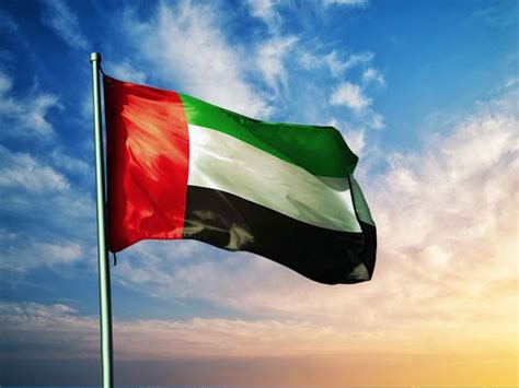 Watch: How Dubai Police have tailored the UAE flag since 1971 | Year Of ...