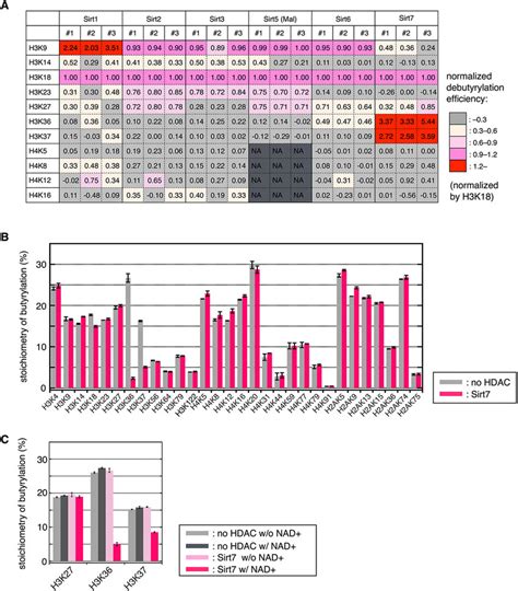 Site-selectivity of sirtuins. (A) Debutyrylation efficiency normalized... | Download Scientific ...