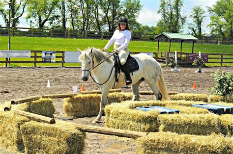 Equine Events - nj.com