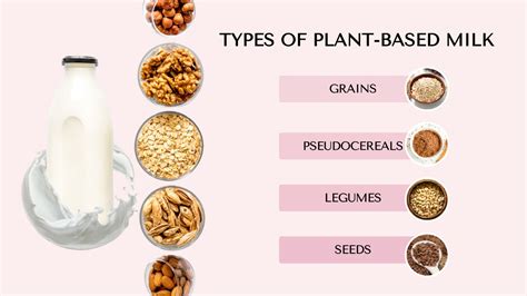 What Is Plant-Based Milk? A Comprehensive Guide to Nutrition, Taste, and Impact