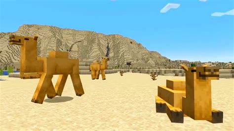 Minecraft camel – how to find and tame the desert mob