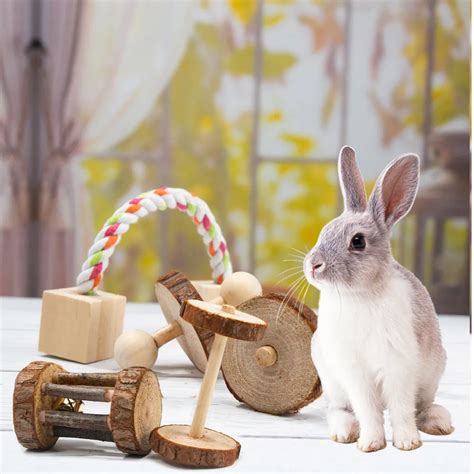 Rabbit Chew Toy Wooden Molar Toy - Life Changing Products