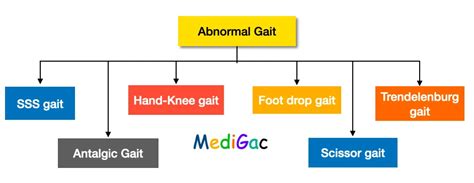 How to perform gait assessment – MediGac