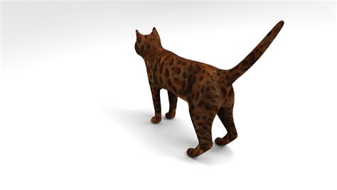 3D Model Cat Rigged | 1142658 | TurboSquid