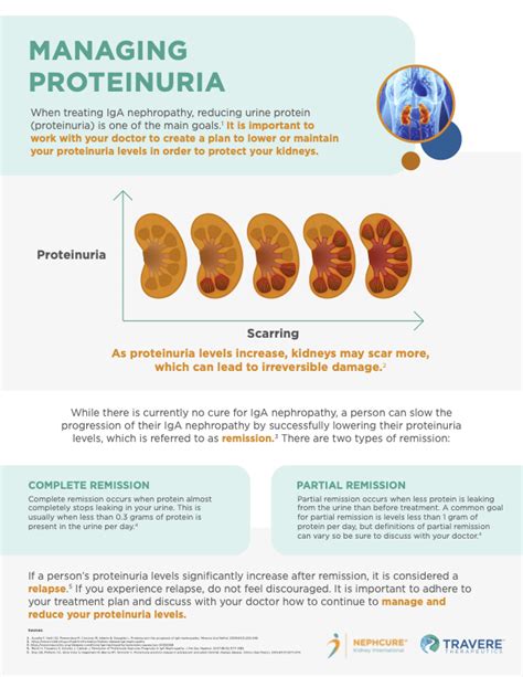 Travere Therapeutics' Sparsentan Drug Explained - NephCure