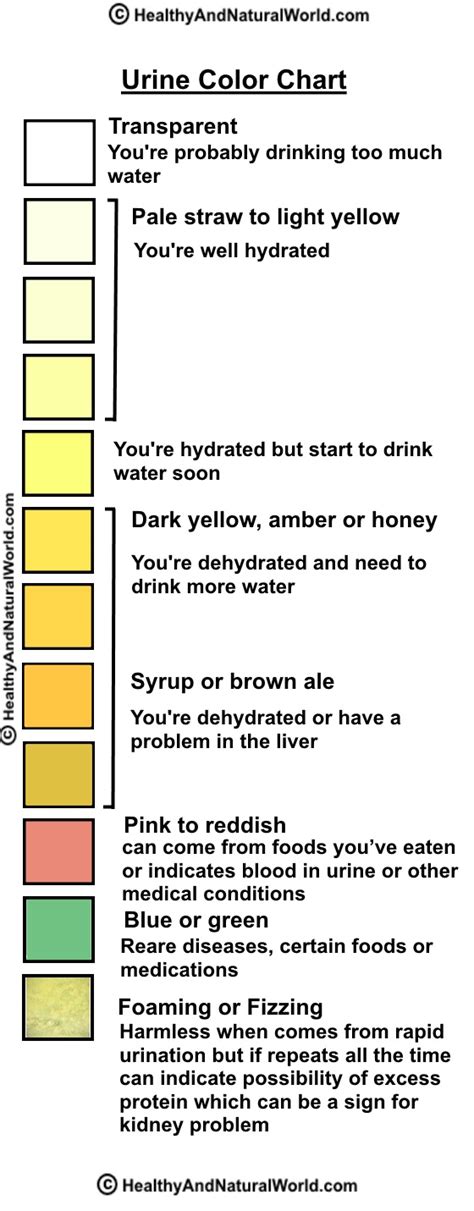 What Can Your Urine Tell You about Your Health