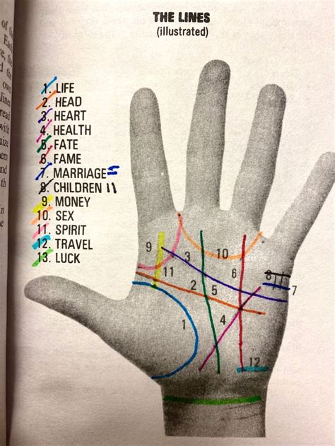 Palmistry Reading, Palmistry Hand, Astrology Meaning, Birth Chart ...