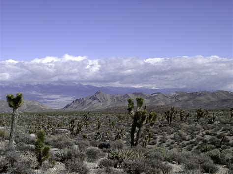 Las Vegas Desert Landscape in Nevada image - Free stock photo - Public Domain photo - CC0 Images