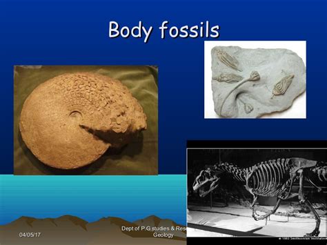 Fossils and fossilisation