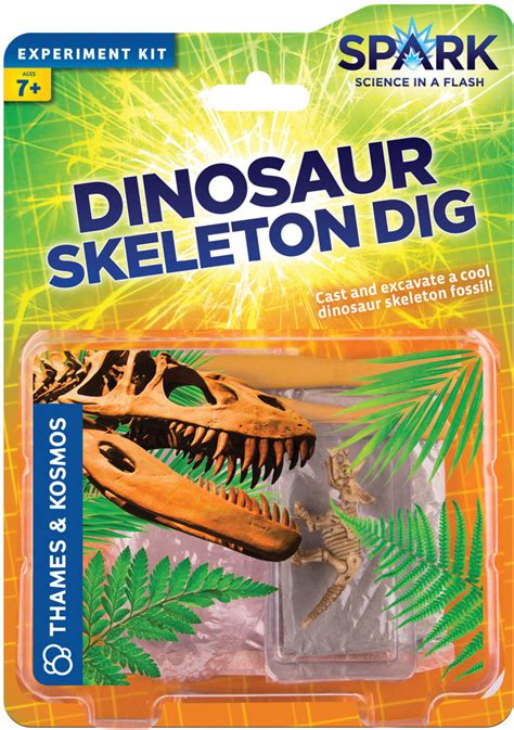 Exciting & Educational Dinosaur Skeleton Dig Experiment Kit – LabRatGifts.com