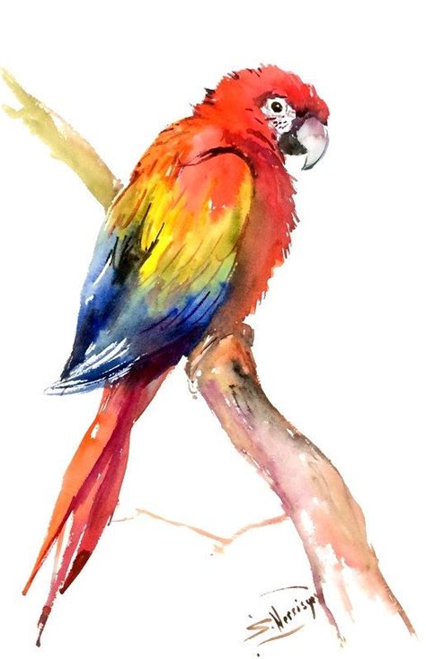 Scarlet Macaw, Original watercolor painting bright tropical bird art,12 ...