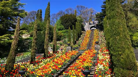 Blumeninsel Mainau im Bodensee