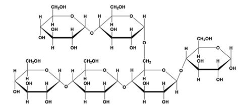 Glycosidic Bond - Biochemistry Video | Clutch Prep