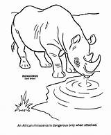 Free Wild Animals Coloring Pages Download  sketch template