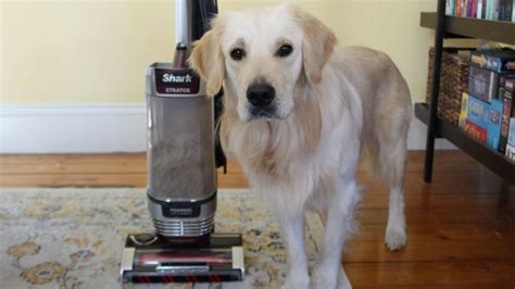 Shark Stratos Upright Vacuum review | Homes & Gardens