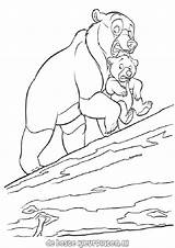 Brother Bear Coloring Pages  Learny Kids sketch template