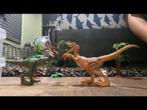 Dilophosaurus, VS velociraptor - YouTube