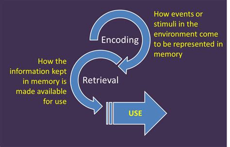 Memory Psychology - The Role of Cognition and Emotion | Owlcation