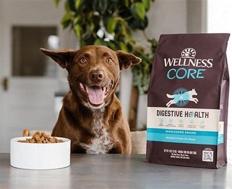 How Can I Improve My Dogs Diet