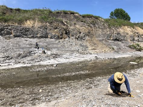 Digging for Fossils in Ladonia, TX - Luckey Wanderers