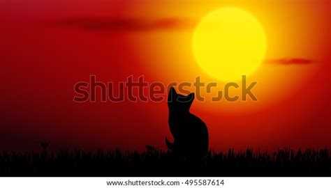 Vector Illustration Cat Silhouette On Sunset Stock Vector (Royalty Free) 495587614 | Shutterstock