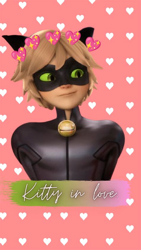 Marinette & Ladybug wallpaper and Cat noir wallpaper! ? | Fandom