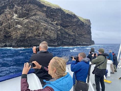 Cruising Antipodes Islands Soaring Cliffs