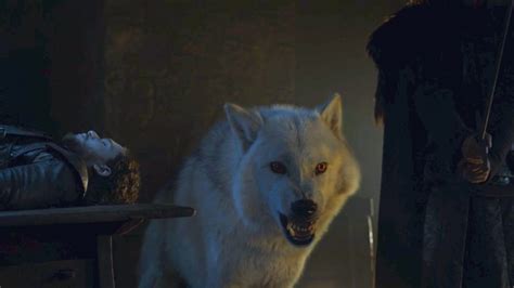 Did Jon Snow Warg Into His Wolf Ghost on Game of Thrones? | POPSUGAR ...