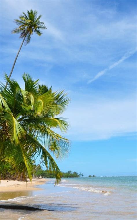 Bahia Beaches, Brazil holidays - Steppes Travel