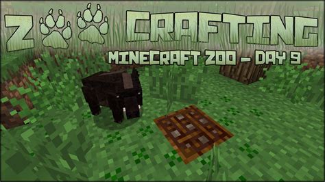 Building Traps, Setting Bait!! 🐘 Zoo Crafting: Season 2 - Episode #9 - YouTube