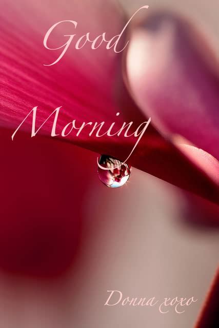 Good Morning With Water Drops - Good Morning Wishes & Images