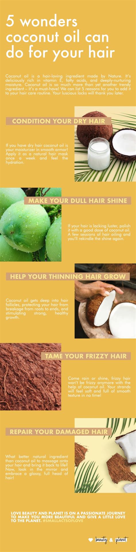 Coconut oil for hair: benifits & how to use | Love Beauty and Planet