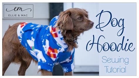 Let's Sew A Cute Hoodie For Our Fur Babies - Easy Dog Hoodie Sewing Project - YouTube