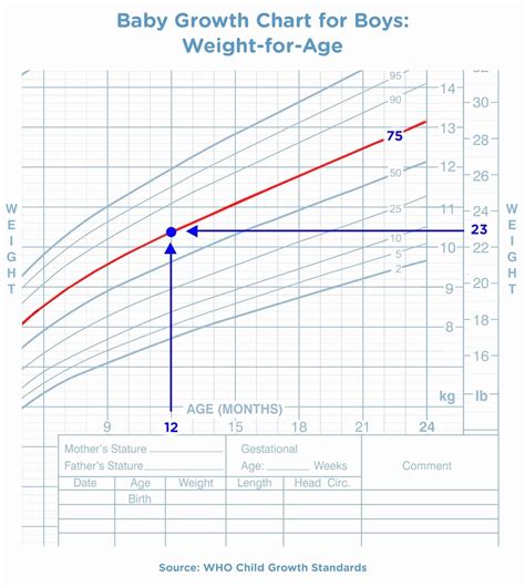 Age and Weight Chart Unique Baby Growth Chart the First 24 Months | Baby growth chart, Baby ...