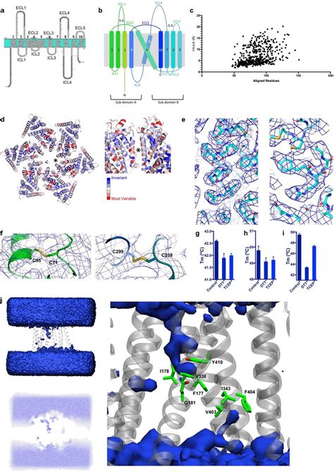 Structural features of DmSERINC a, Transmembrane topology diagram of... | Download Scientific ...