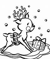 Coloring Pages For Christmas Reindeer At GetColoringscom  Free sketch template