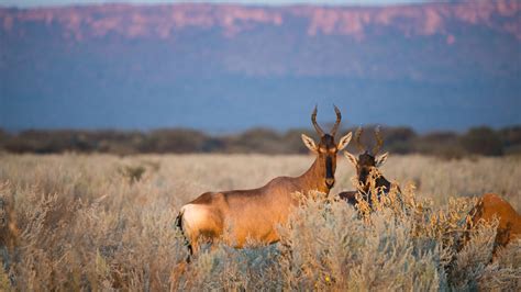 Explore Waterberg