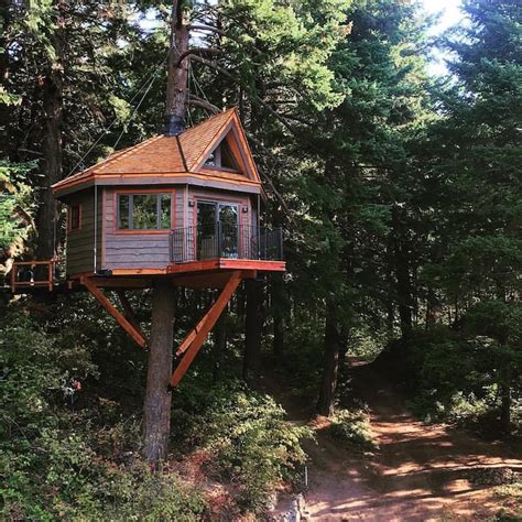 Treehouse rentals | Airbnb