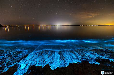 Stunning bioluminescence display in Jervis Bay