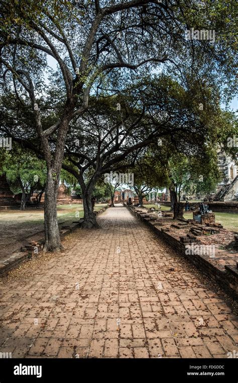 Ayutthaya historical park and ancient city Stock Photo - Alamy