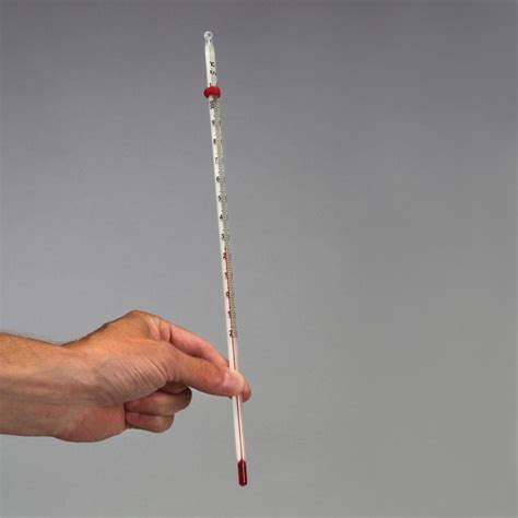 Thermometer, Alcohol | Carolina.com