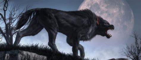 What Is a Hellhound? A Guide to the Demonic Dog of Mythology