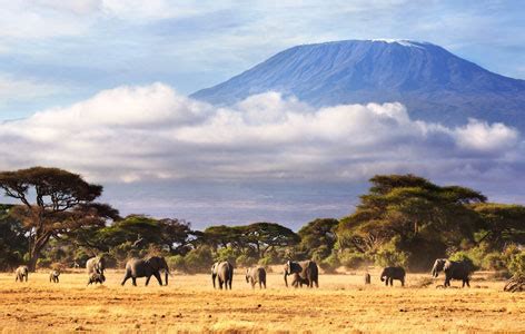 Kilimanjaro National Park | Meet Africa