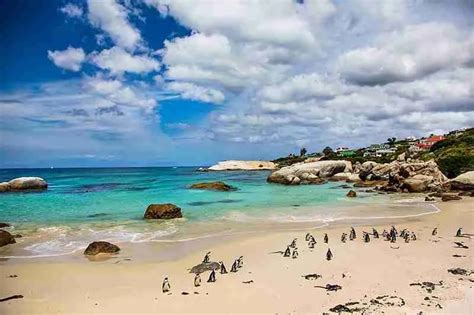 Boulders Beach - SLR Photography