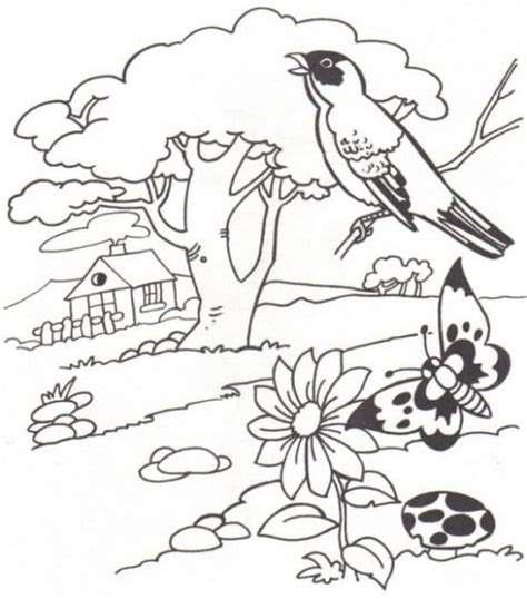 Dibujos Para Colorear Naturaleza Paisajes